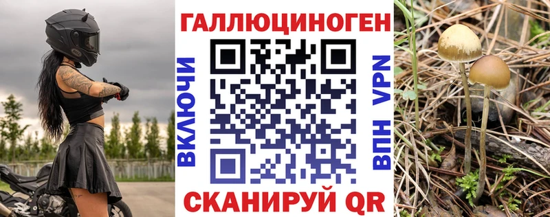 Псилоцибиновые грибы Psilocybine cubensis  KRAKEN   Чухлома 